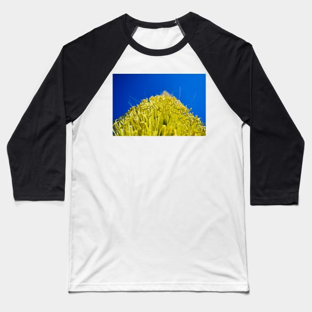 the floral polen in ecopop landscape art in oaxaca Baseball T-Shirt by jorge_lebeau